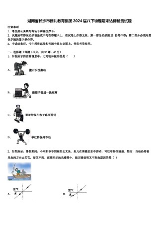 湖南省长沙市雅礼教育集团2024届八下物理期末达标检测试题含解析.doc
