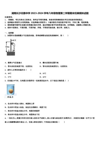 湖南长沙北雅中学2023-2024学年八年级物理第二学期期末经典模拟试题含解析.doc
