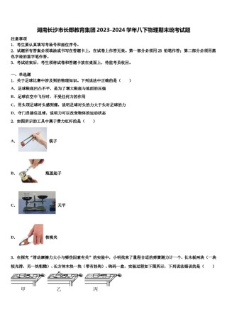 湖南长沙市长郡教育集团2023-2024学年八下物理期末统考试题含解析.doc