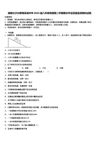 湖南长沙长郡梅溪湖中学2024届八年级物理第二学期期末学业质量监测模拟试题含解析.doc
