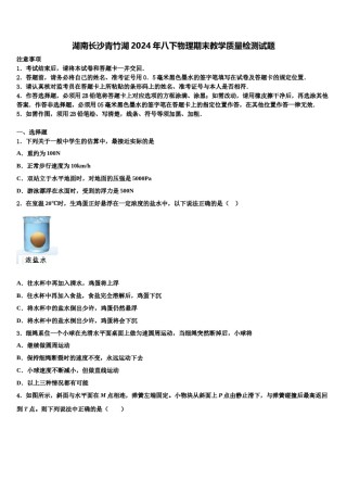 湖南长沙青竹湖2024年八下物理期末教学质量检测试题含解析.doc
