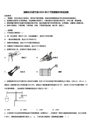 湖南长沙青竹湖2024年八下物理期末考试试题含解析.doc