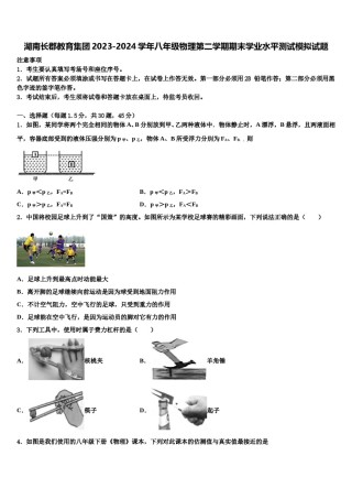 湖南长郡教育集团2023-2024学年八年级物理第二学期期末学业水平测试模拟试题含解析.doc