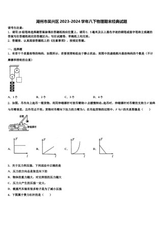 湖州市吴兴区2023-2024学年八下物理期末经典试题含解析.doc