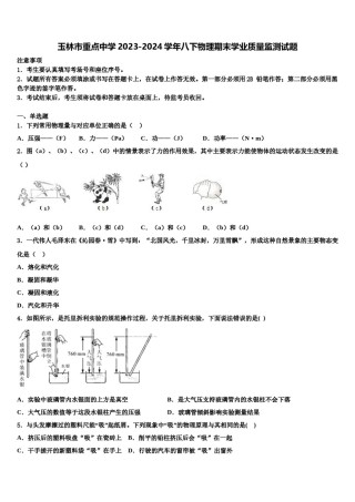 玉林市重点中学2023-2024学年八下物理期末学业质量监测试题含解析.doc