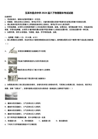 玉溪市重点中学2024届八下物理期末考试试题含解析.doc