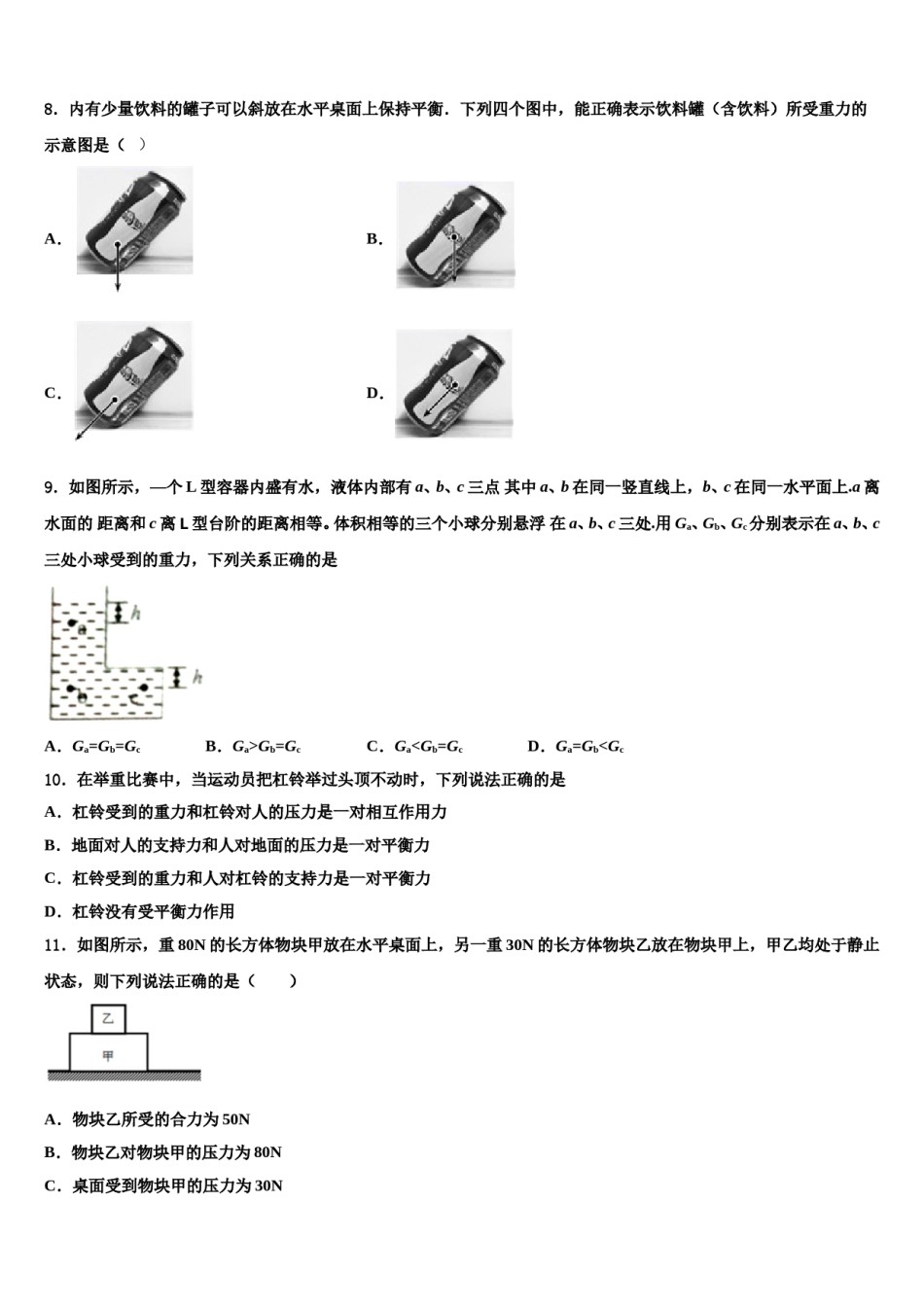 甘肃省嘉峪关市第六中学2024届物理八下期末达标检测模拟试题含解析.doc_第3页