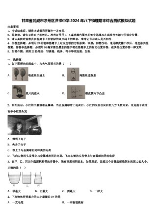 甘肃省武威市凉州区洪祥中学2024年八下物理期末综合测试模拟试题含解析.doc