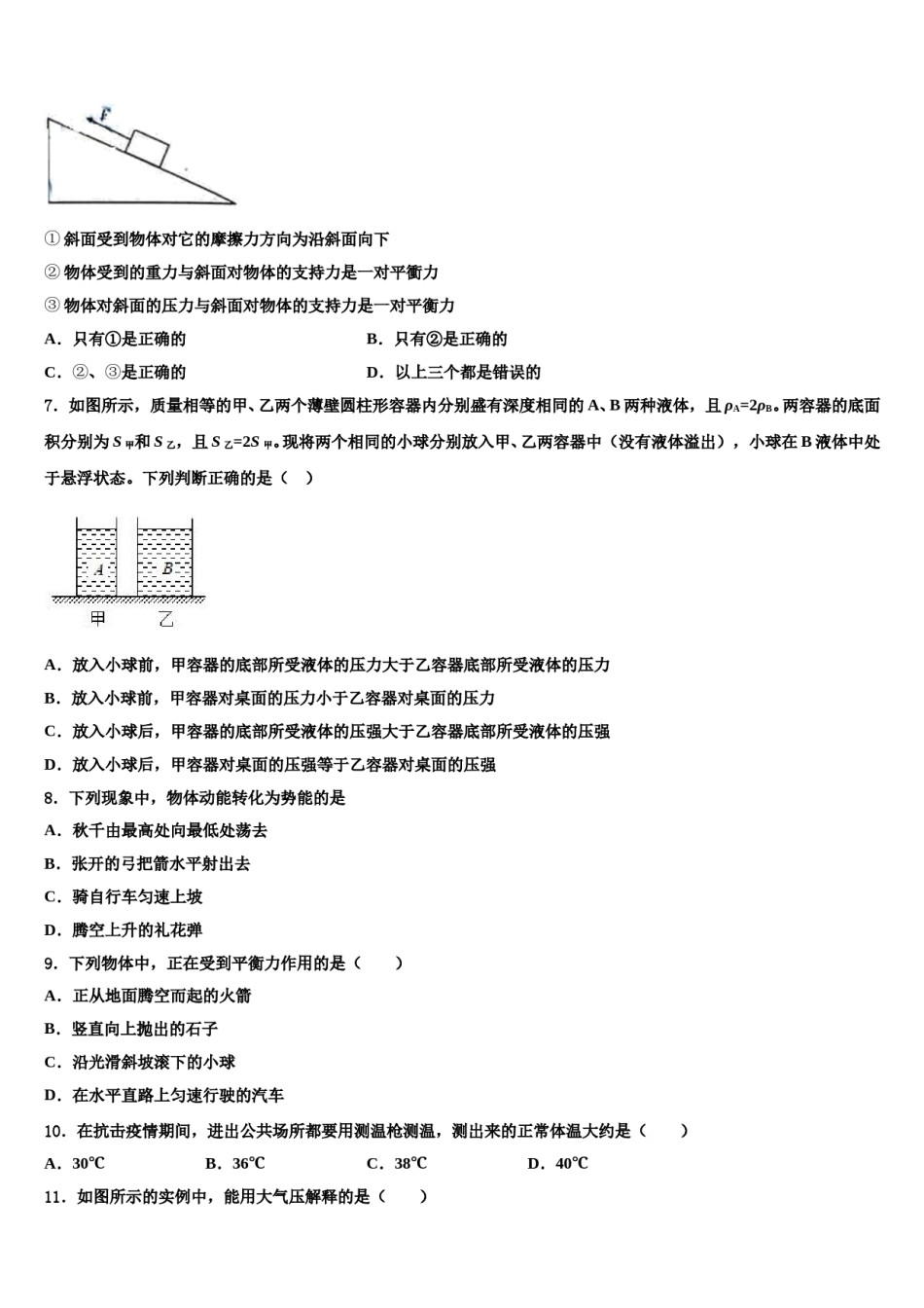 甘肃省民乐县第四中学2023-2024学年八年级物理第二学期期末检测试题含解析.doc_第2页