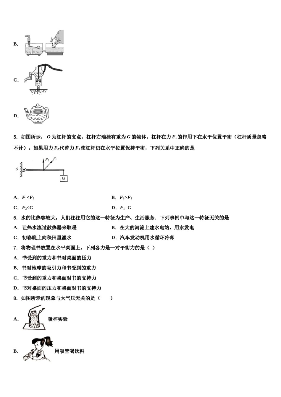 甘肃省永昌六中学2023-2024学年八年级物理第二学期期末达标检测试题含解析.doc_第2页
