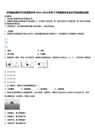 甘肃省白银市平川区第四中学2023-2024学年八下物理期末学业水平测试模拟试题含解析.doc