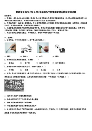 甘肃省金昌市2023-2024学年八下物理期末学业质量监测试题含解析.doc