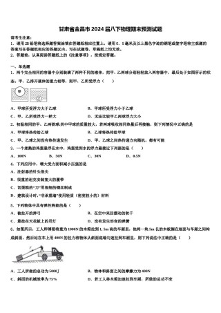 甘肃省金昌市2024届八下物理期末预测试题含解析.doc