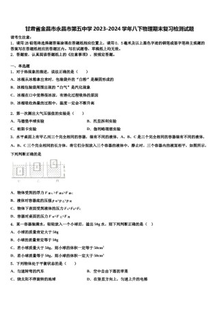 甘肃省金昌市永昌市第五中学2023-2024学年八下物理期末复习检测试题含解析.doc