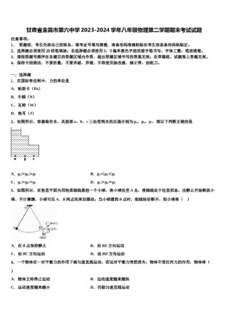 甘肃省金昌市第六中学2023-2024学年八年级物理第二学期期末考试试题含解析.doc