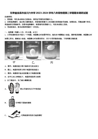 甘肃省金昌市金川六中学2023-2024学年八年级物理第二学期期末调研试题含解析.doc