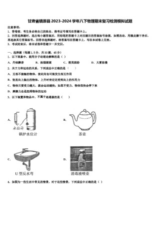 甘肃省镇原县2023-2024学年八下物理期末复习检测模拟试题含解析.doc