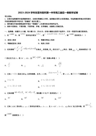 2023-2024学年东营市胜利第一中学高三最后一卷数学试卷含解析.doc