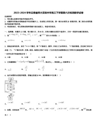 2023-2024学年云南省师大实验中学高三下学期第六次检测数学试卷含解析.doc