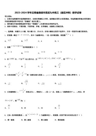 2023-2024学年云南省曲靖市宣武九中高三（最后冲刺）数学试卷含解析.doc
