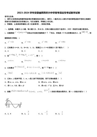 2023-2024学年安徽省肥西农兴中学高考适应性考试数学试卷含解析.doc