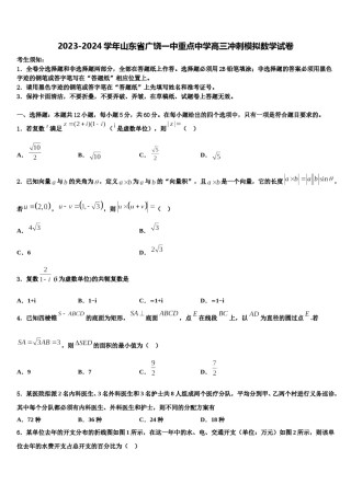 2023-2024学年山东省广饶一中重点中学高三冲刺模拟数学试卷含解析.doc