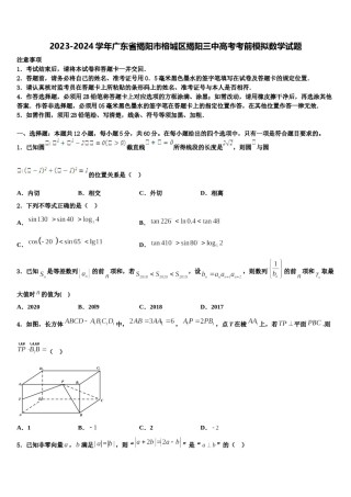 2023-2024学年广东省揭阳市榕城区揭阳三中高考考前模拟数学试题含解析.doc