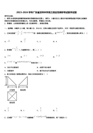 2023-2024学年广东省深圳中学高三适应性调研考试数学试题含解析.doc