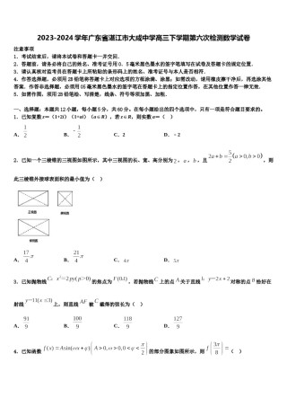 2023-2024学年广东省湛江市大成中学高三下学期第六次检测数学试卷含解析.doc