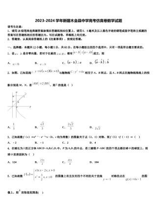 2023-2024学年新疆木垒县中学高考仿真卷数学试题含解析.doc