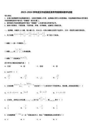 2023-2024学年武汉市武昌区高考考前模拟数学试题含解析.doc