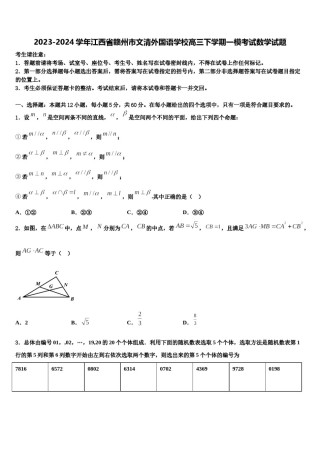 2023-2024学年江西省赣州市文清外国语学校高三下学期一模考试数学试题含解析.doc