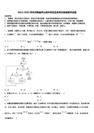 2023-2024学年河南省罗山高中老校区高考仿真卷数学试题含解析.doc