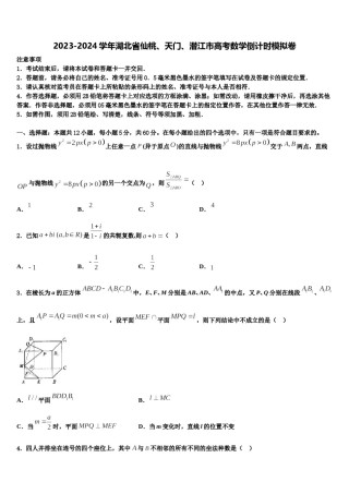 2023-2024学年湖北省仙桃、天门、潜江市高考数学倒计时模拟卷含解析.doc