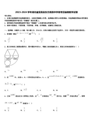 2023-2024学年湖北省宜昌金东方高级中学高考压轴卷数学试卷含解析.doc