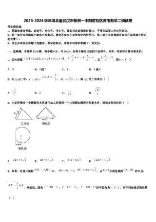 2023-2024学年湖北省武汉市新洲一中阳逻校区高考数学二模试卷含解析.doc
