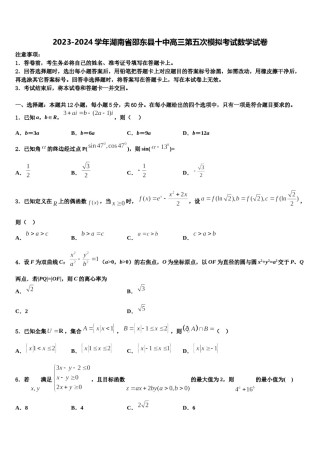 2023-2024学年湖南省邵东县十中高三第五次模拟考试数学试卷含解析.doc