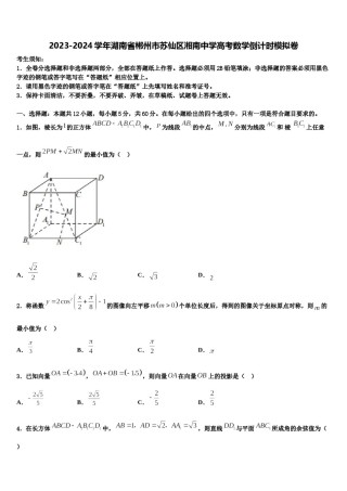 2023-2024学年湖南省郴州市苏仙区湘南中学高考数学倒计时模拟卷含解析.doc