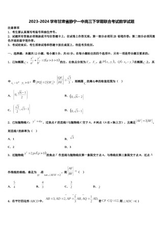 2023-2024学年甘肃省静宁一中高三下学期联合考试数学试题含解析.doc