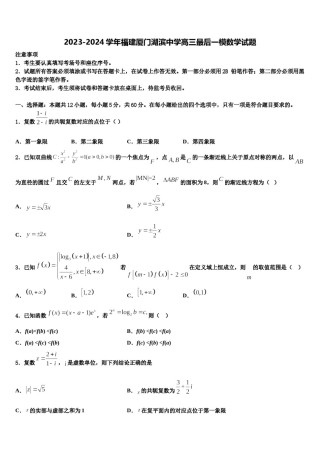 2023-2024学年福建厦门湖滨中学高三最后一模数学试题含解析.doc