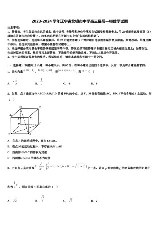 2023-2024学年辽宁省北镇市中学高三最后一模数学试题含解析.doc
