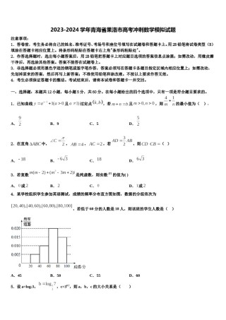 2023-2024学年青海省果洛市高考冲刺数学模拟试题含解析.doc