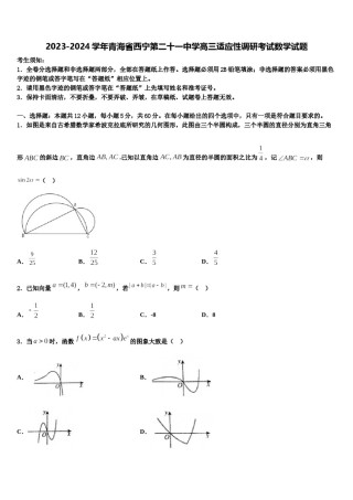 2023-2024学年青海省西宁第二十一中学高三适应性调研考试数学试题含解析.doc