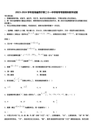 2023-2024学年青海省西宁第二十一中学高考考前模拟数学试题含解析.doc