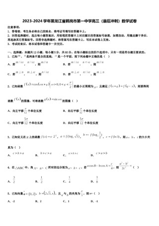 2023-2024学年黑龙江省鹤岗市第一中学高三（最后冲刺）数学试卷含解析.doc