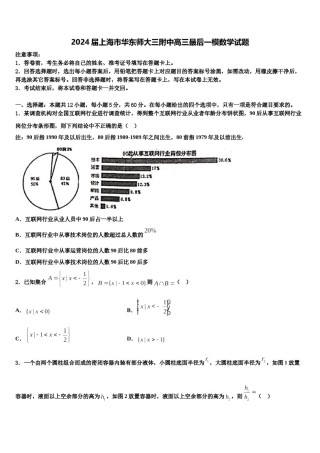 2024届上海市华东师大三附中高三最后一模数学试题含解析.doc