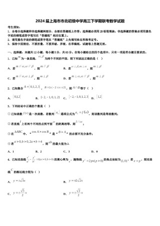 2024届上海市市北初级中学高三下学期联考数学试题含解析.doc