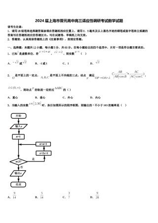 2024届上海市晋元高中高三适应性调研考试数学试题含解析.doc