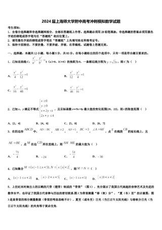 2024届上海师大学附中高考冲刺模拟数学试题含解析.doc