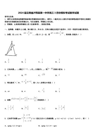 2024届云南省泸西县第一中学高三3月份模拟考试数学试题含解析.doc